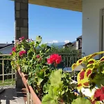 L'albero Di Giada, Fiori E Frutti *
