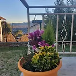 Lejlighed L'albero Di Giada, Fiori E Frutti