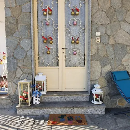 L'albero Di Giada, Fiori E Frutti *