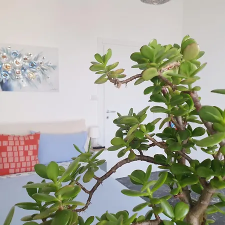 アパート L'albero Di Giada, Fiori E Frutti Almese