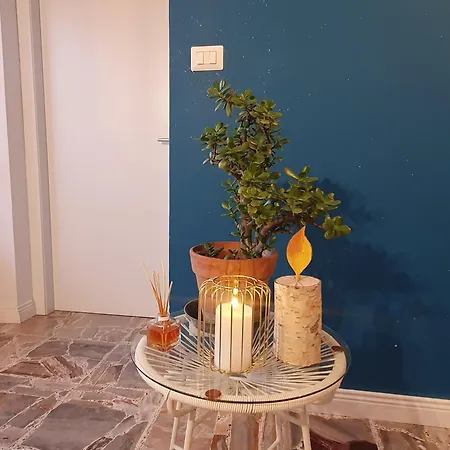 L'albero Di Giada, Fiori E Frutti * Almese