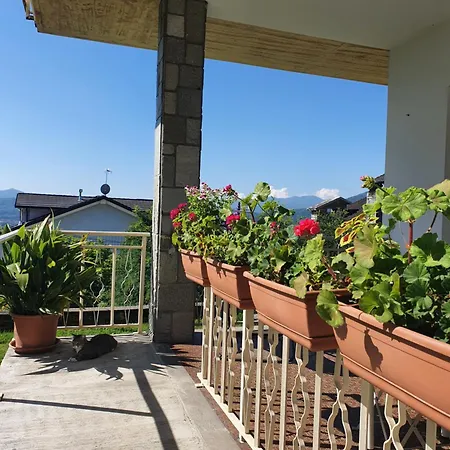 L'albero Di Giada, Fiori E Frutti * Almese