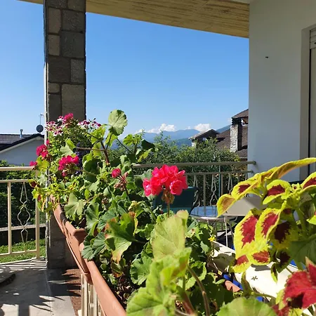 L'albero Di Giada, Fiori E Frutti *