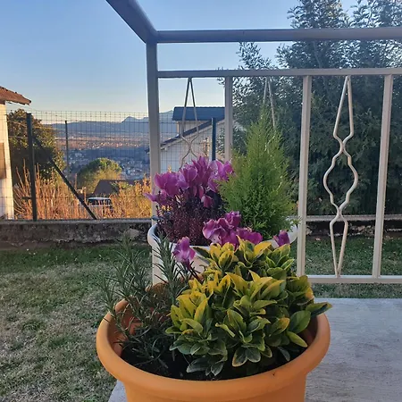 Appartement L'albero Di Giada, Fiori E Frutti