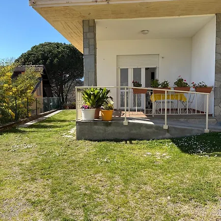 L'albero Di Giada, Fiori E Frutti Almese