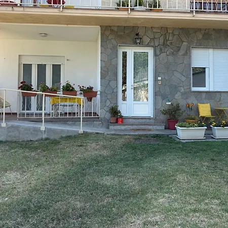 L'albero Di Giada, Fiori E Frutti Almese