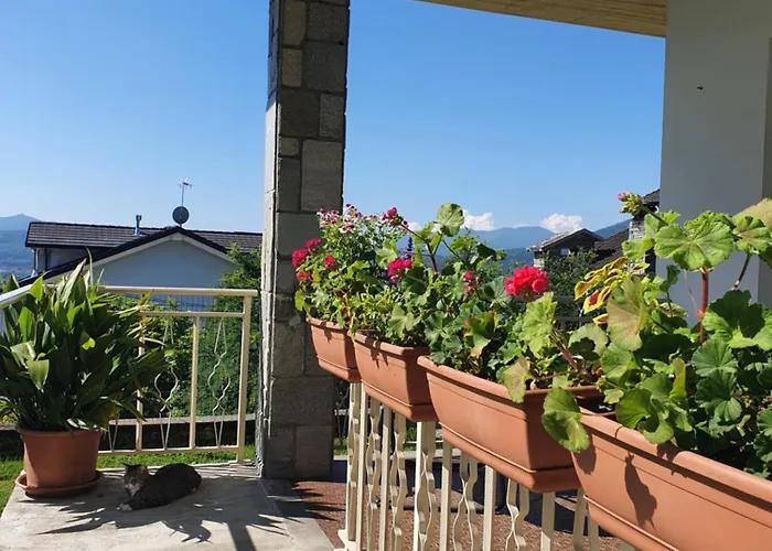 L'albero Di Giada, Fiori E Frutti * Almese