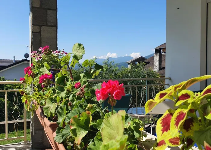 L'albero Di Giada, Fiori E Frutti *