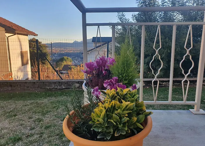 Apartment L'albero Di Giada, Fiori E Frutti