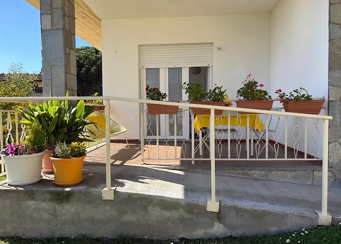 L'albero Di Giada, Fiori E Frutti Almese