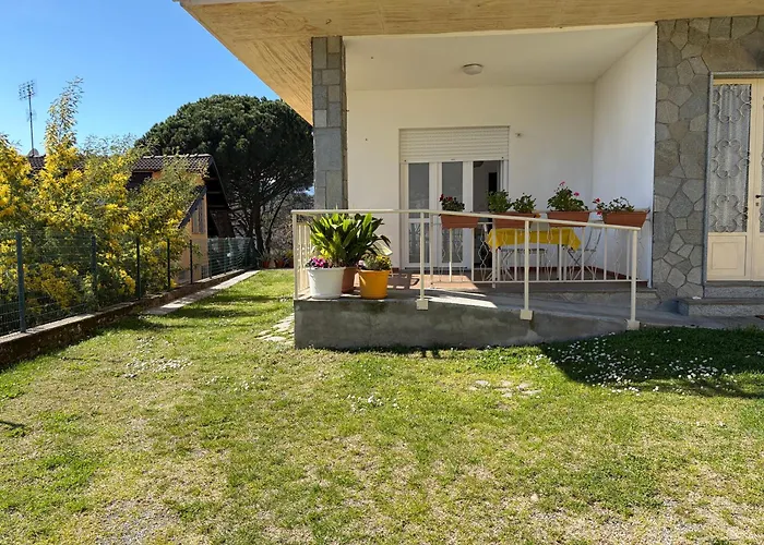L'albero Di Giada, Fiori E Frutti Almese